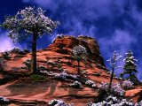 Clearing Winter Storm, Zion National Park, UT Lámina fotográfica por Russell Burden