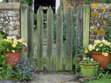 Farmhouse Gate with Terracotta Pots of Viola and Primula Auricula Lámina fotográfica por Sunniva Harte