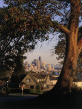 Skyline Seen from Behind Tree, Seattle, WA Photographic Print by Jim Corwin