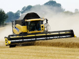 Yellow New Holland Combine Harvester Harvesting Wheat Field, UK Reprodukcja zdjęcia autor Martin Page Yellow New Holland Combine Harvester Harvesting Wheat Field, UK Reprodukcja zdjęcia autor Martin Page