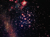 Stars and Nebula Photographic Print by Terry Why