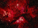 Stars and Nebula Photographic Print by Terry Why