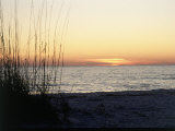 David Davis - Sunset on Sanibel Island, Gulf Coast of FL - Fotografik Baskı
