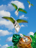 Money Hatching and Flying from Nest Photographic Print by Paul Katz