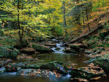 Ricketts Glen State Park, Pennsylvanie Photographie par Jim Schwabel