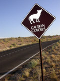 Coyote Crossing Street Sign on Desert Road Photographic Print by Yvette Cardozo