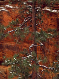 Zion National Park Utah Photographic Print