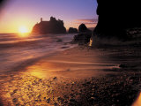 Ruby Beach at Sunset Photographic Print by Peter Adams