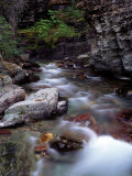Glacier National Park Photographic Print