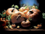 Pumpkins Photographic Print by ATU Studios 