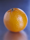 Orange Photographic Print by Fogstock Llc 