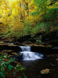 Waterfalls, Ricketts Glen State PArk, PA Photographie par Jim Schwabel
