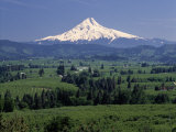 Mt. Hood and Hood River Valley, Oregon Lámina fotográfica por Fogstock Llc Mt. Hood and Hood River Valley, Oregon Lámina fotográfica por Fogstock Llc