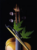 Violin w/ maple twig Photographie par Howard Sokol