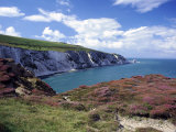 Isle of Wight, Summer Photographic Print by Harold Taylor