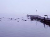 Swimming Marker and Pier Photographic Print by Cheryl Clegg