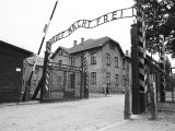 Entrance Gate with Hypocritcal in Work There is Freedom Banner, Auschwitz, Poland Photographic Print by David Clapp