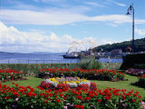 Garden at Esplanade, Argyll, Scotland Photographic Print by Mark Dyball