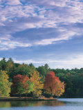 Trees in Autumn Photographie par Walter Bibikow