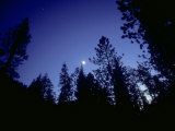 Moon with Trees, Sierra Nevada, USA Photographic Print by Olaf Broders