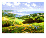 Malibu Coastline Photographic Print by Vicky Brago-Mitchell