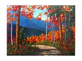 Path To Kaaterskill Falls Giclee Print by Patty Baker