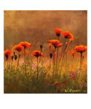 California Poppies 3 Giclee Print by Wendy Kroeker (Erhardt)