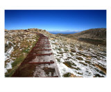 MO-10A Pathway Photographic Print by Luke Kneale