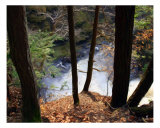 At The Top Of The Falls Photographic Print by Kim Straus