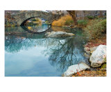 Central Park Scene In Late Autumn Photographic Print by Frank Tozier