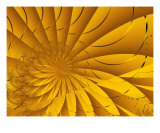 Broken Geometry 2 Photographic Print by Vicky Brago-Mitchell