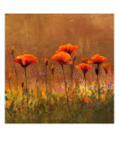 California Poppies 2 Photographic Print by Wendy Kroeker (Erhardt)