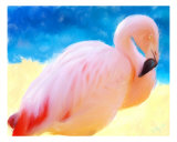 Hawaiian Flamingo Giclee Print by Kim Kolm