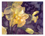 Moonlight Daffodils Watercolor Giclee Print by Lilly Fluger