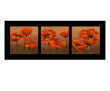 Oriential Poppies Photographic Print by Wendy Kroeker (Erhardt)