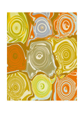 Orange Sherbert Lámina giclée por Ricki Mountain