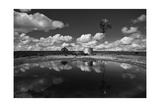 Ranch Pond, New Mexico Photographic Print by Steve Gadomski