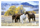 October Mist Limited Edition by Tim Cox