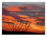 Fire Sunrise One Fotografie-Druck von Ana Villaronga