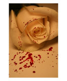 Til Death Do Us Part Photographic Print by A Ricketts
