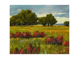 Afternoon Fields 1 Giclee Print by Patty Baker