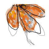 Orange Petals Photographic Print by Jan Weiss