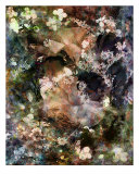 Silent Night Photographic Print by Shelley Xie