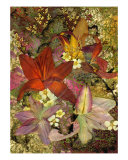 Lilies - Pressed Flower Art reproduction procédé giclée par Shelley Xie