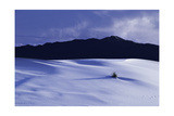 White Sands And San Andres Mountain Range N M Photographic Print by Steve Gadomski