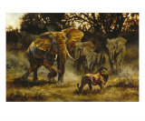 Vying For The Throne Giclée-tryk af Heather Theurer Vying For The Throne Giclée-tryk af Heather Theurer