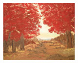 Four Red Maples Giclee Print by Edward Reese