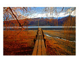 JE-01A Colours Photographic Print by Luke Kneale