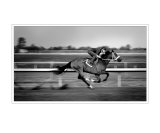 Quickness Photographie par Josh Williams