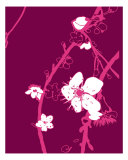 Pink Cherry Blossom Photographic Print by Estela Lugo